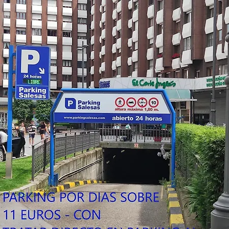 Apartment Salesas Centro Comercial Corte Ngles- *
