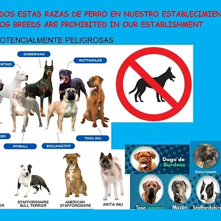 Residencial Salesas Appartement *